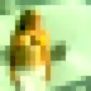 Honorine, 33 ans, connectée à Jouars-Pontchartrain pour une rencontre coquine