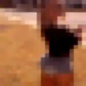 Rejoins Romane, 19 ans à Jouars-Pontchartrain en privé