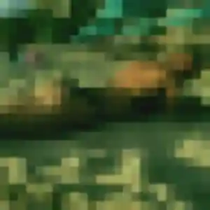 Profil de Amandine à Jouy-le-Moutier (24 ans) - plan cul anonyme