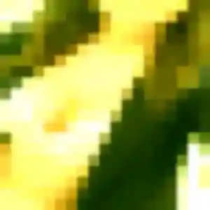 Rejoins Syrine, 34 ans à Juvigné gratuitement