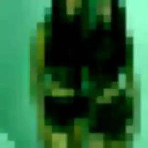 Photo exclusive de Aya, 23 ans à La Balme-les-Grottes - rencontre coquine