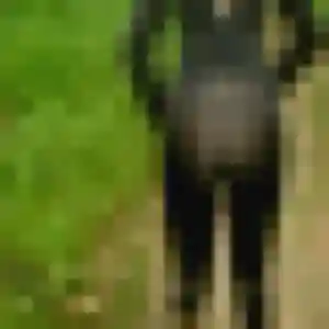 Photo sexy de Eleonore, 27 ans à La Balme-les-Grottes - rencontre coquine
