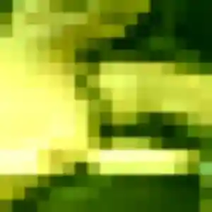 Photo privée de Ninon, 20 ans à La Bazouge-du-Désert - plan discret