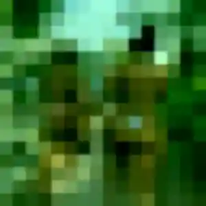 Photo sexy de Noemi, 36 ans à La Bonneville-sur-Iton - plan discret