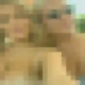 Photo sexy de Prisca, 24 ans à La Bretonnière-la-Claye - plan discret