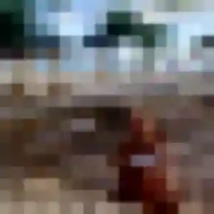 Photo de Honorine à La Chambre (32 ans) - plan cul anonyme
