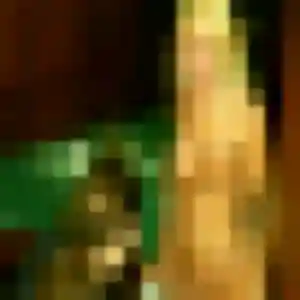 Belle Luna, 28 ans à La Chapelle-du-Bois-des-Faulx - la contacter