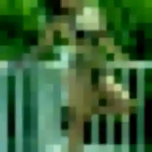 Alissa, fille de 32 ans cherche plan cul à La Chapelle-Fleurigné