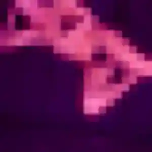 Photo exclusive de Safiya, 34 ans à La Chapelle-Launay - plan discret