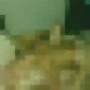 Colombe de La Chapelle-Longueville, 33 ans - plan cul sans lendemain