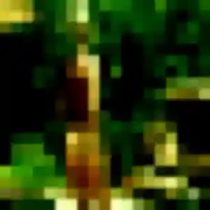 Jolie Heloise, 21 ans à La Couture-Boussey - découvrir son profil