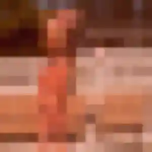 Zelie, 39 ans, dispo pour plan cul à La Croix-en-Touraine