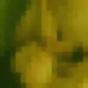 Anissa de La Ferrière-Bochard, 38 ans - plan cul sans lendemain