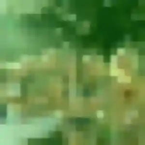 Assia, 36 ans, dispo pour plan cul à La Ferté Macé