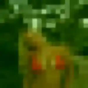 plan cul à La Feuillie : profil de Amandine, 39 ans - sans engagement