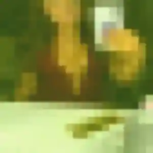 Olivia, fille de 26 ans veut plan cul à La Forêt-du-Parc