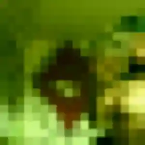 Eden de La Frénaye, 20 ans - plan cul sans prise de tête