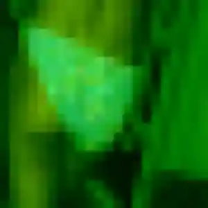 plan cul à La Guerche-de-Bretagne : photo de Alina, 22 ans - accès libre