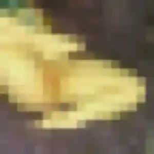 Flore de La Guerche-de-Bretagne, 36 ans - plan cul en toute liberté