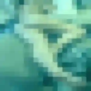 Contacte Lya, 24 ans à La Guerche-de-Bretagne en privé