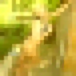 Profil de Celeste à La Londe (26 ans) - plan cul discret