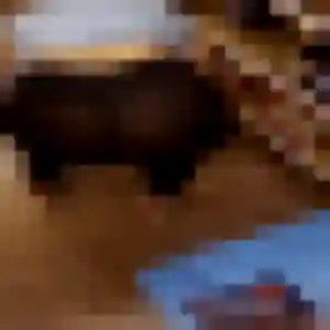 Photo privée de Elia, 20 ans à La Motte-Saint-Jean - plan discret