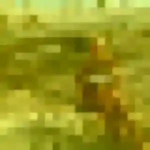 Djenna, fille de 27 ans propose plan cul à La Neuville-du-Bosc