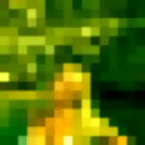 Photo perso de Ilana, 39 ans à La Neuville-du-Bosc - rencontre coquine