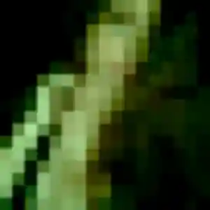 Sexy Myla, 21 ans à La Neuville-en-Hez - découvrir son profil