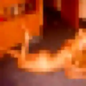 Sana, 35 ans, dispo pour plan cul à La Porte du Der