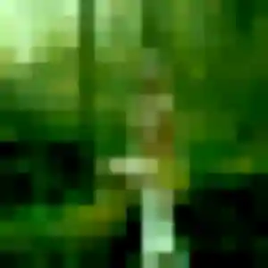 Colombe, fille de 32 ans propose plan cul à La Remuée