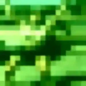 Photo perso de Elena, 21 ans à La Remuée - plan discret