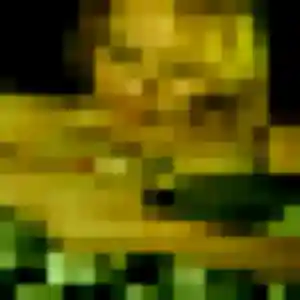 Garance, femme de 22 ans propose plan cul à La Selle-la-Forge