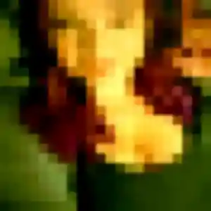 Zelie de La Selle-la-Forge, 29 ans - plan cul discret