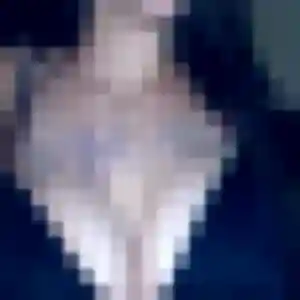 Nour, femme de 28 ans cherche plan cul à La Turbie
