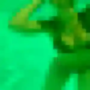 Belle Elya, 30 ans à La Ville-du-Bois - la contacter