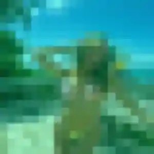 Safiya, 35 ans, dispo pour plan cul à Lachapelle-Saint-Pierre