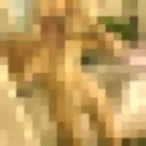 Découvre Tatiana, 19 ans à Lalande-en-Son gratuitement