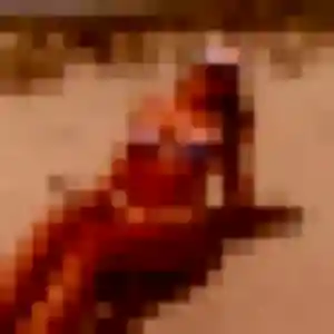 Feriel (37 ans) à Lallaing attend une rencontre maintenant