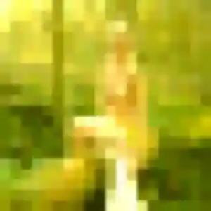 Photo de Zara à Lampaul-Plouarzel (39 ans) - plan cul discret