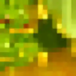 Photo perso de Selma, 21 ans à Landivy - rencontre sans lendemain