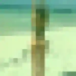 Charmante Isaure, 27 ans à Langan - la contacter