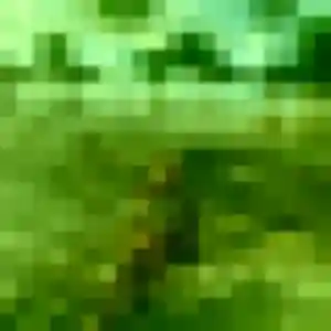 Djenna, 35 ans, cherche un plan cul à Langouet