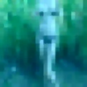 Ludivine, 39 ans, dispo pour plan cul à Lannemezan