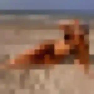 Photo de Imen à Largeasse (24 ans) - plan cul gratuit