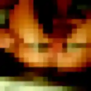 Photo exclusive de Sienna, 22 ans à Laudun-l'Ardoise - rencontre coquine