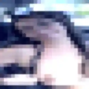 Salome, fille de 30 ans cherche plan cul à Laussonne
