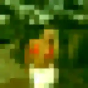 Jolie Viviane, 29 ans à Laval - découvrir son profil