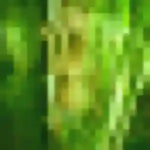 Elina, 20 ans, disponible à Le Bardon pour un plan cul