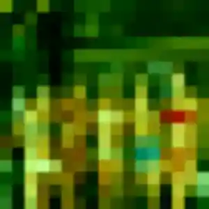 Flore, fille de 38 ans cherche plan cul à Le Controis-en-Sologne